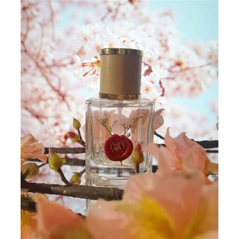 sakura inspired perfume